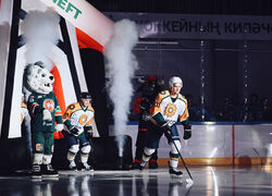 Во Владимирской области и Татарстане открылись новые спортивные объекты