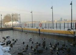 Завершено строительство плавучего причала для маломерных судов проекта ПБФ 4218.23/ПП