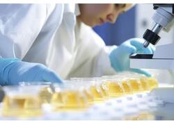 В России разработали натуральную замену глутамату