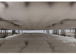 Сыроварня в Чехове расширила производство и стала выпускать на 44% больше сыра