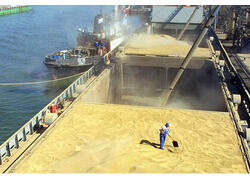 Россия в 2023 г. установила рекорд по экспорту зерна