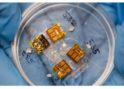 Самообучающийся протез для спинного мозга создали в России