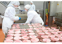 Группа «Талина» запустила новую линию по производству колбас в Мордовии