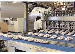 Крупнейший в ЛНР производитель мороженого запустил новую линию