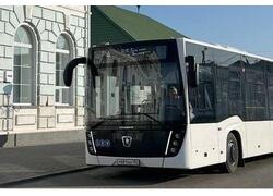 На улицы Бердянска Запорожской области вышли 15 новых автобусов