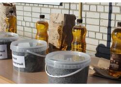 В&nbsp;Моршанском округе заработал маслоэкстракционный завод