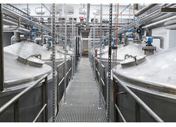 В Волгоградской области запустили производство новых пребиотиков