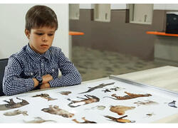 «Теневая» технология: как работает сенсорный экран без экрана?