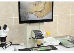 В&nbsp;ЛНР открыли забойный цех производительностью 6 тысяч голов в&nbsp;месяц