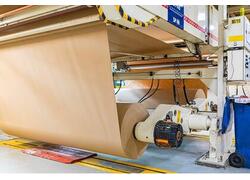 За два месяца 2024 года производство бумаги в Москве выросло более чем в 4 раза