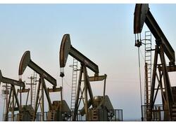 Прирост запасов нефти в России в 2023 году составил 550 млн тонн