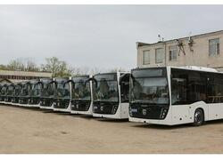 Автобусы НЕФАЗ для Воронежа