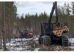 Харвестер КАМАЗ-1010 и&nbsp;форвардер КАМАЗ-1011 проходят испытания на&nbsp;территории Сегежского лесничества