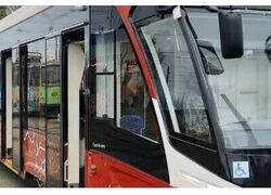 В Пермь поступили 3 односекционных «Львёнка»