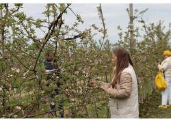 В&nbsp;Клетнянском районе Брянской области открыли плодохранилище для яблок