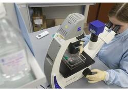 В&nbsp;России создали гель для восстановления костей со&nbsp;100% идентичностью