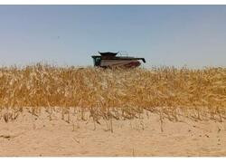 Русские комбайны в Ливии