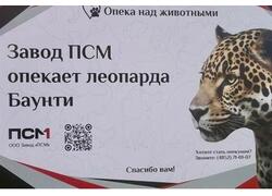 Российские промышленные компании инвестируют в&nbsp;КСО