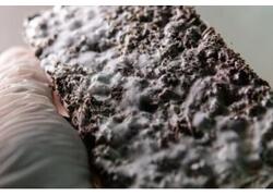 Челябинские специалисты создали улучшающий качество окружающей среды бетон