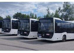 Автобусы НЕФАЗ для Вологды