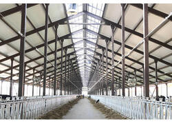 В Кукморском районе Татарстана запущен новый молочный комплекс