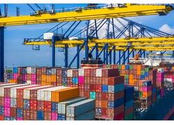 Рост объёмов экспорта сельскохозяйственной продукции в&nbsp;первом полугодии