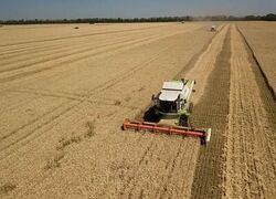Кубань завершила уборку зерновых