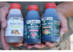 Компания «Калининградский калий» начала производство естественных стимуляторов роста растений