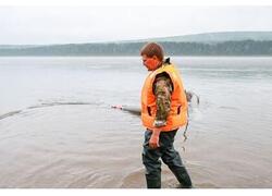 Энергетическая «дочка» «Норникеля» выпустила сотни тысяч мальков осетра в Енисей