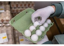 Птицефабрика «Башкирская» завершила модернизацию и возобновила выпуск товарного яйца