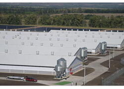 В&nbsp;Павловском районе Воронежской области открыли новый свиноводческий комплекс