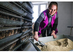 На Ставрополье построили комбикормовый завод за 470 млн рублей