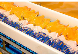 «Дамате» первой в России получила право экспорта мяса утки в Гонконг