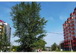 Иркутская область перевыполнила задачи национального проекта по расселению аварийного жилья