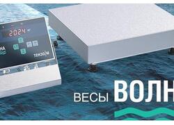 Морские весы для точного взвешивания на борту судна в условиях качки