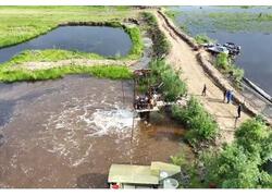 Многомиллионную партию мальков ценной рыбы выпустили в&nbsp;водоемы Югры
