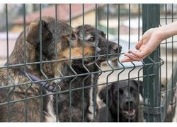 Не в утиль, а на переработку: как уменьшить убытки от просроченных продуктов