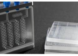 В России приступили к разработке микрофлюидных технологий