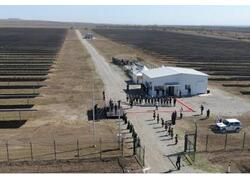 В Чечне запустили первую в России солнечную электростанцию с системой слежения за Солнцем