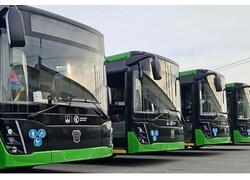 ГТЛК поставила свыше 70 автобусов за&nbsp;неделю по&nbsp;ФНБ-проекту