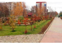 В алмазной столице Якутии после реконструкции открыли ботанический сад