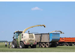 Вторая очередь крупной молочной фермы запущена в Амурской области