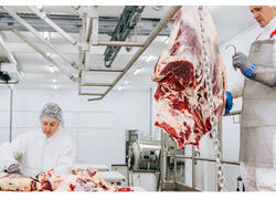 Цех по переработке мяса открыли в Чувашии