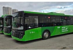ГТЛК поставила свыше 260 автобусов за&nbsp;неделю