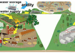 Российские и китайские учёные разработали полимер из натуральных компонентов для борьбы с засухой