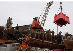 Россия нарастила экспорт моллюсков в 1,5 раза