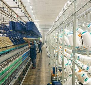 В&nbsp;КЧР открыта первая очередь фабрики по&nbsp;переработке шерсти