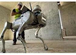 Москва имеет крупнейшую в мире сеть для пилотирования инноваций — 257 площадок