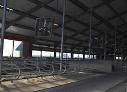 В Тюменской области открылся животноводческий комплекс на 600 голов