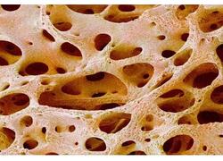 На борту МКС синтезировали рукотворный аналог костной ткани